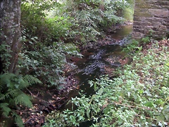 IMG_0304 IMG_0304