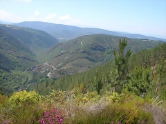 DSCN2126 DSCN2126