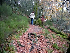 DSCN0693 DSCN0693