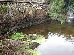 IMG_0290 IMG_0290