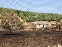 6cortijo de Mateo, el del bombo