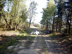 DSCN4866 DSCN4866