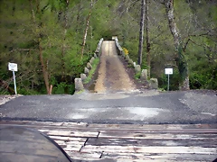 DSCN4128