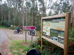 DSCN0487 DSCN0487