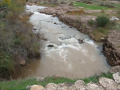DSCF2169