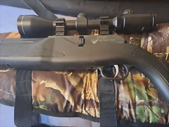 walther2