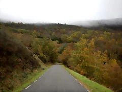 DSCN2847 DSCN2847