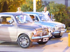 P1070658 P1070658