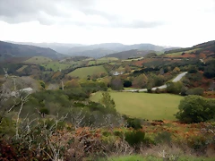 DSCN8410 DSCN8410