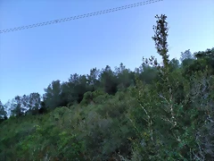 IMG_20210106_165541 IMG_20210106_165541