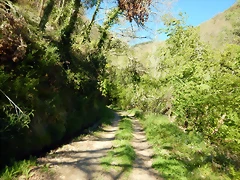 DSCN0095 DSCN0095