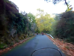 DSCN1081 DSCN1081