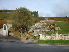 DSCN6233 DSCN6233
