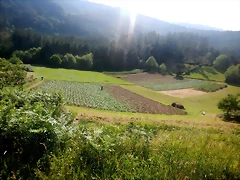 DSCN6198 DSCN6198