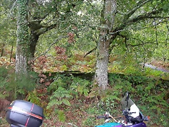DSCN5257 DSCN5257