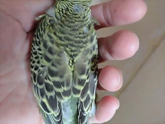 Q8b