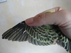 Q8c