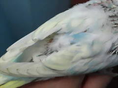 DSC00430 DSC00430
