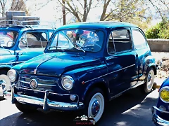 CAS_4032 CAS_4032