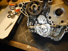 DSCN1726 DSCN1726