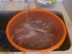 100_0929 100_0929