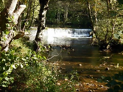DSCN9193 DSCN9193