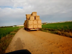 DSCN7917 DSCN7917
