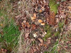 DSCN3741