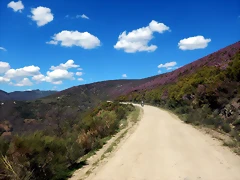 DSCN9542 DSCN9542