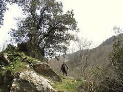 R0012358 R0012358