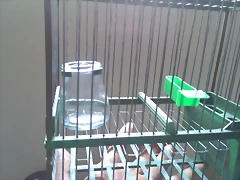 IMAG0707 IMAG0707
