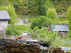 DSCN1268 DSCN1268