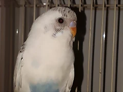 20190122_120209