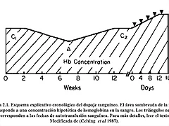 grafico