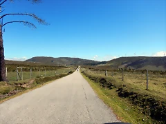 DSCN0119