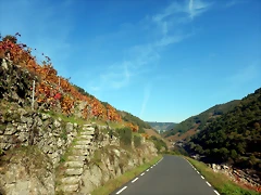 DSCN1556 DSCN1556