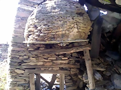 DSCN2525 DSCN2525