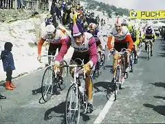 VUELTA 1981-REGIS CLERE-RUPEREZ-JORGEN MARCUNSEN-PINO-PUJOL.