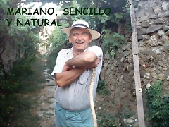 Diapositiva1