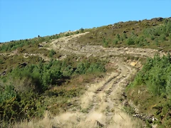 23-IMG_4232 23-IMG_4232