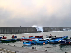 DSC_0717 DSC_0717