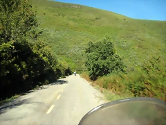 IMG_1017 IMG_1017