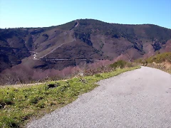 DSCN7993 DSCN7993