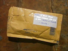 Copia de PA080436