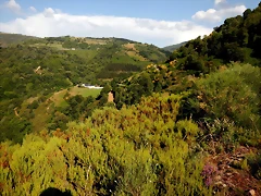 DSCN9223 DSCN9223