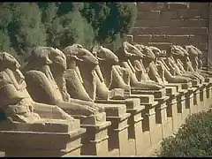 luxor_thebes_sphinxes