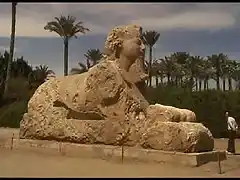 sphinx_memphis_2