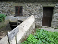 IMG_0301 IMG_0301