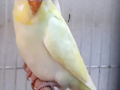 20191230_141010