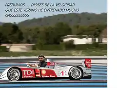 audi pedro